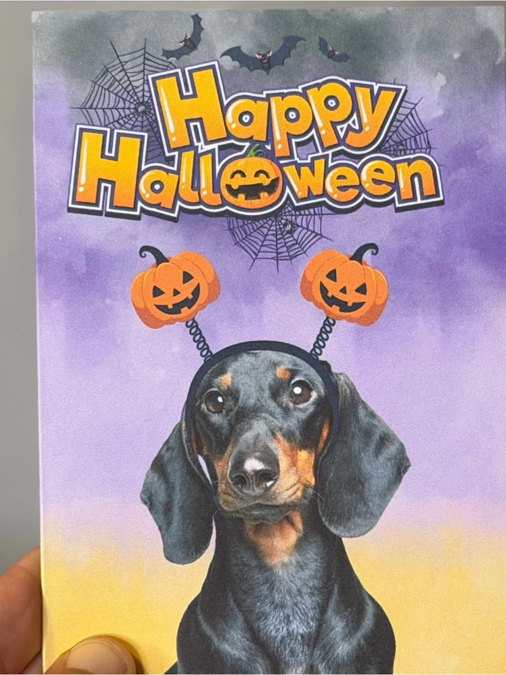 N/A celebrate spooky